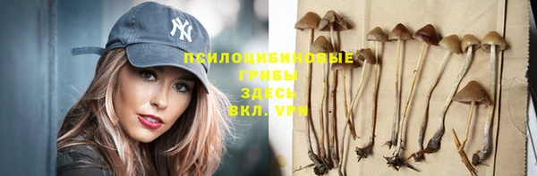 a pvp Заводоуковск