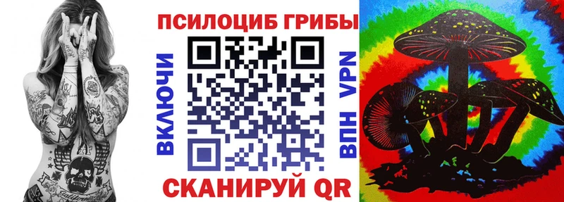 Псилоцибиновые грибы прущие грибы  Купить закладки  Енисейск 